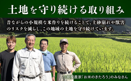 【令和7年度産】福井県産 こしひかり 白米 10kg / 米 白米 精米 小浜市 / お米のきたろう [BFBW001] 