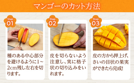 先行予約 数量限定 南国 宮崎 完熟マンゴー 4L × 1玉 A級品 化粧箱入り_BD101-24