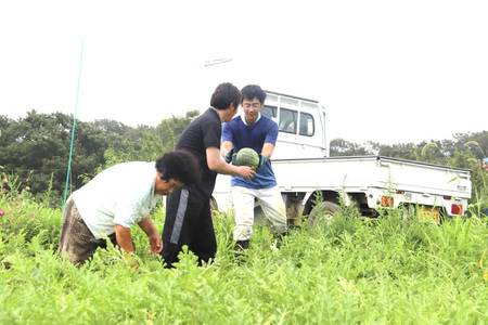 【期間限定】 金色 羅皇 (黄色) 【幻の ゴールデンスイカ】 2玉 [米吉農園 石川県 志賀町 BA4120]