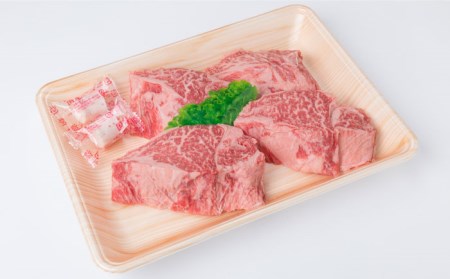 【全6回定期便】【極上 ヒレ ステーキ】 100g×4枚 A4ランク 博多和牛 糸島市/糸島ミートデリ工房[ACA137] ステーキ ヒレ ヒレ肉 フィレ ヘレ 牛肉 赤身 黒毛和牛 国産