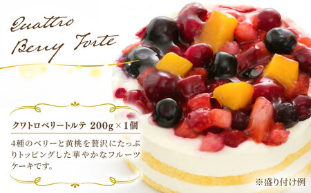 ベイクドチーズ / マロンモンブラン / クワトロベリートルテ ケーキ 3種17個 冷凍 糸島市 / 五洋食品産業 [AQD024]