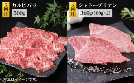 糸島 黒毛和牛（ 博多 和牛 ） 高級 部位の定期便 セット 全9回（月1回） 2人前 4,12kg 糸島市/糸島ミートデリ工房 [ACA109] 定期便 肉 食べ比べ 希少