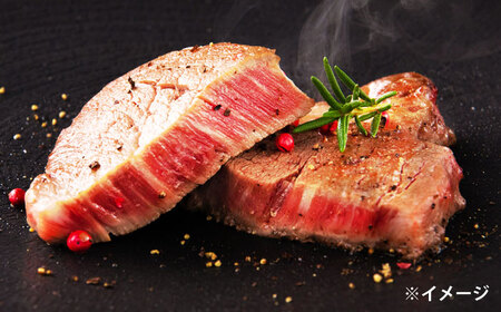 しまね和牛 ヒレステーキ 500g [ALEF001] 牛肉 ヒレ
