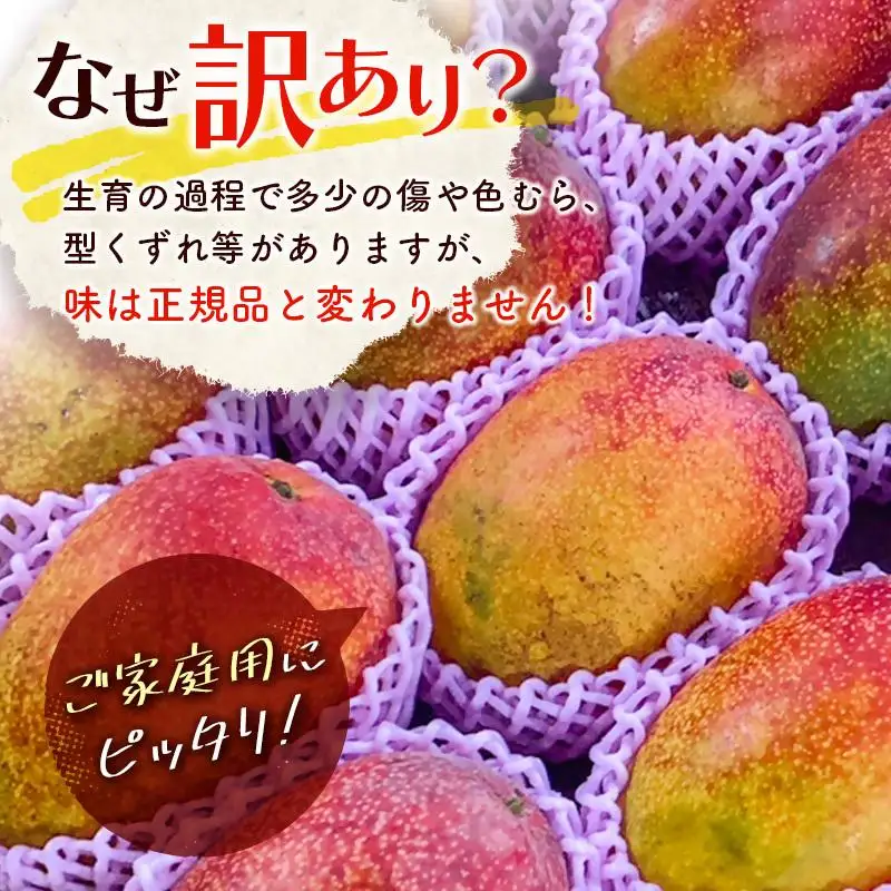 【先行予約】訳あり「ご家庭用」宮崎県西都市産完熟マンゴー2kg ＜18-11a＞2026年発送