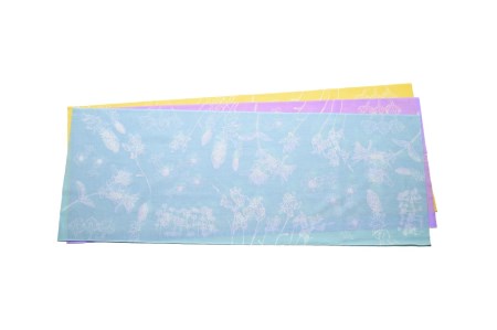 Yukinori Otsuka photography「大雪Gift bag」