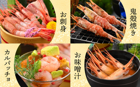 【特別企画】【訳あり】三国港から産地直送！「三国港甘えび」 500g + 100g 合計約600g ～本場の濃厚な甘海老を是非ご賞味ください！～ 【わけあり ワケアリ 濃厚 甘い 刺身 生食可 生 冷凍 有頭 新鮮 魚介類 国産 県産】 [A-6233]