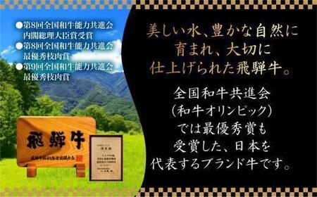 5等級 飛騨牛 肩ロース しゃぶしゃぶ 800g | 冷凍 肉 牛肉 和牛 黒毛和牛 しゃぶしゃぶ 鍋 飛騨高山 ながせ食品 FH010VC13