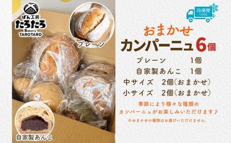 カンパーニュ 6個 セット ぱん パン あんこ 小麦 農林61 ふすま 生地 醗酵 濃厚 芳醇 香り もっちり 食感 ハード系 ぱん工房 たろたろ 埼玉県 嵐山町