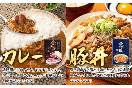 金時豚を使ったレトルト4種セット アグリガーデン 《30日以内出荷予定(土日祝除く)》