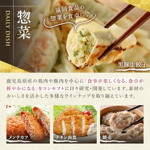 鹿児島黒豚生餃子4種詰合せセット 合計144個！食べ比べ 小分け（4種×12個×3P）【00-008-10】