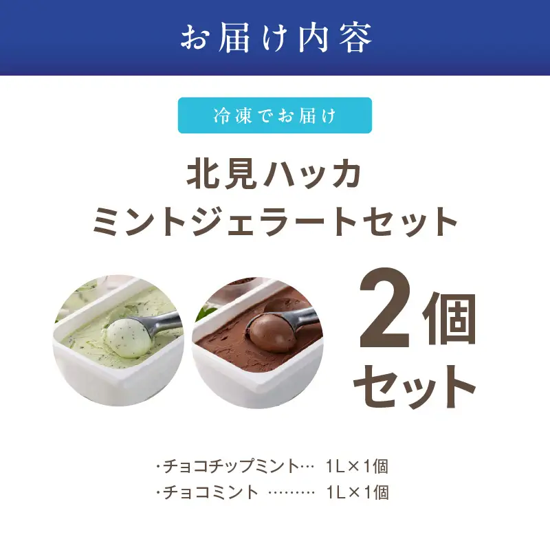 ミントジェラート1L 2種×1個 ( ジェラート アイス アイスクリーム ハッカ チョコ ミント ミントアイス スイーツ チョコチップミント カカオ ふるさと納税 )【007-0038】