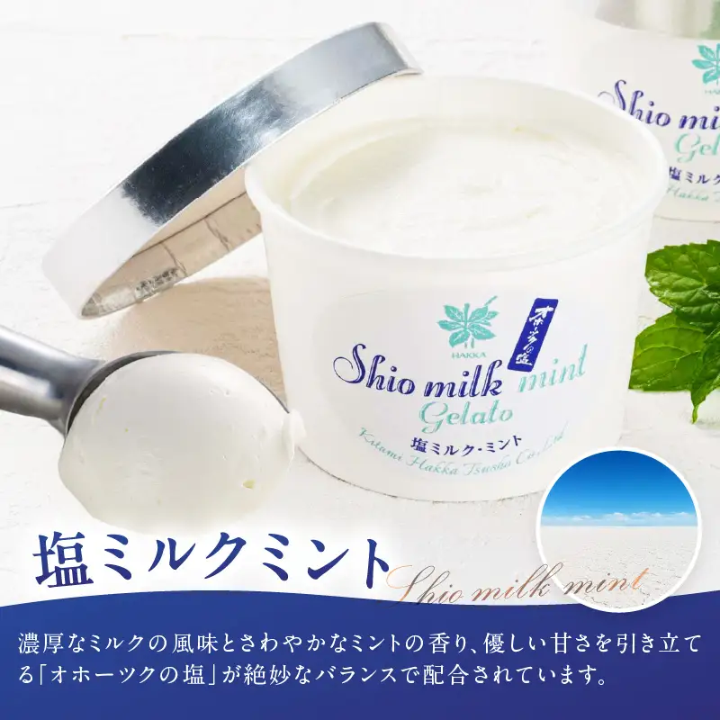 ミントジェラート カップ 3種×2個 ( ジェラート アイス アイスクリーム ハッカ チョコ ミント ミントアイス スイーツ チョコチップミント カカオ カップアイス ふるさと納税 )【007-0037】