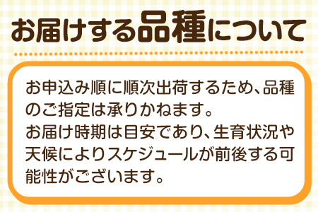 【2026年先行予約】 梨 旬の梨 約 3kg 藤末果樹園 熊本県荒尾市産 期間限定 《7月中旬-10月上旬頃出荷》フルーツ 果物 荒尾梨 はつまる 幸水 愛甘水 りんか ほしあかり 豊水 秋麗 かおり あきづき 新高 甘太 にっこり から旬の品種を厳選してお届け 品種はえらべません 美味しい梨 旬の梨 ジューシー梨 フルーツ梨
