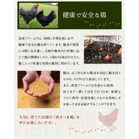 黒さつま鶏 鍋セット(4～5人前)【配送不可地域：離島】【1186066】