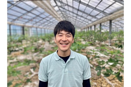 南小国産 ハーフカット冷凍イチジク 1.2kg（農薬・化学肥料不使用） 冷凍 イチジク ハーフカット いちじく 無花果 フルーツ 果物 農薬不使用 化学肥料不使用 大容量 お菓子作り 調理 ジャム コンポート スムージー 美容 健康 食物繊維 fig310 熊本 南小国町 送料無料