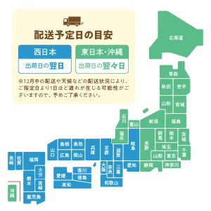S059-017A_【鱗 内臓 除去済み】 天草わくわく便 まるごと鮮魚セット
