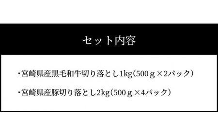 牛肉＆豚肉切り落としセット【合計3kg】 K16_0057_2