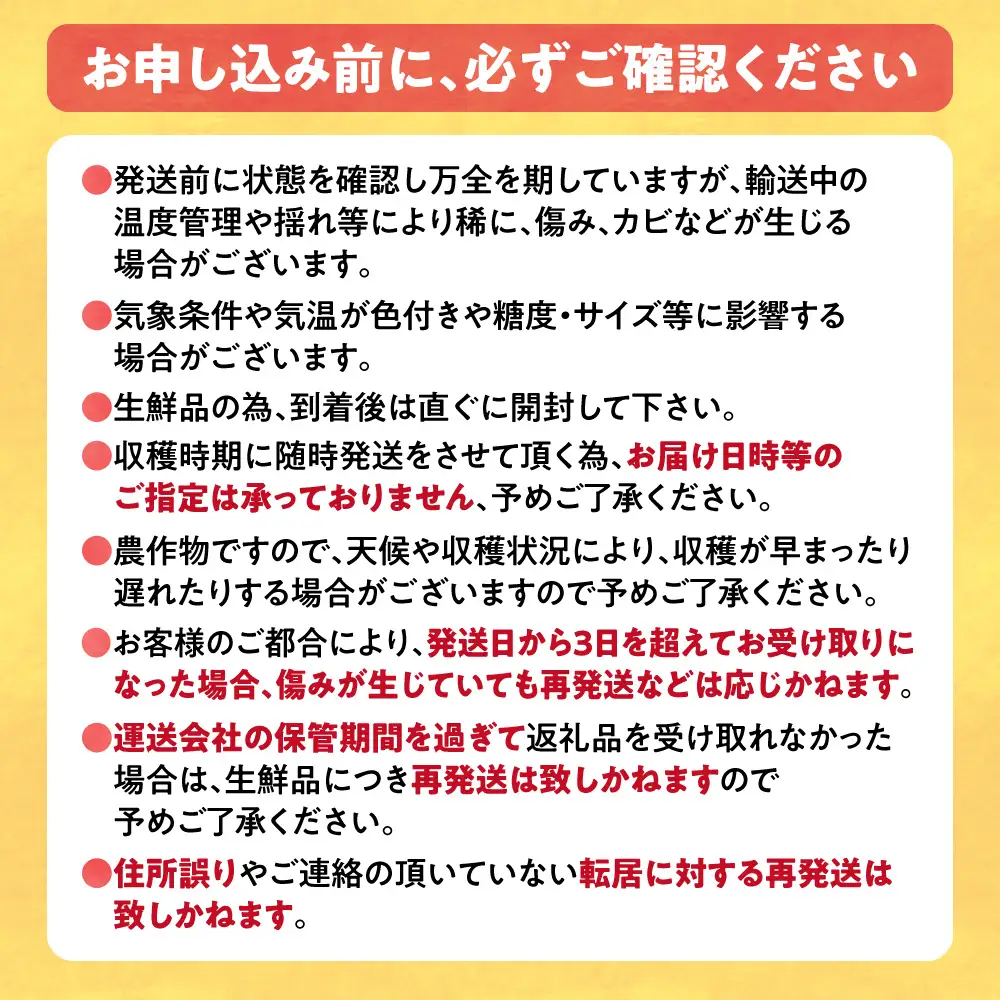 とうもろこし アフター保障付き 20本 北海道 当別町 とうもろこし