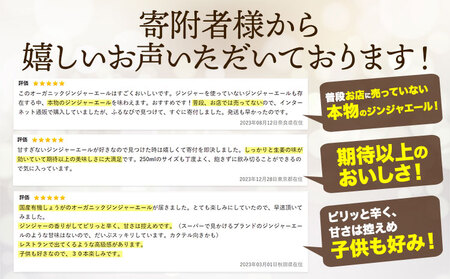 ジンジャーエール 250ml×30缶 光食品 
