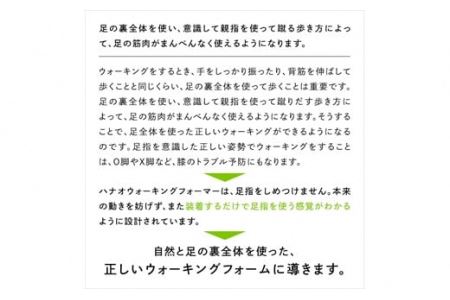 ハナオスターホワイト