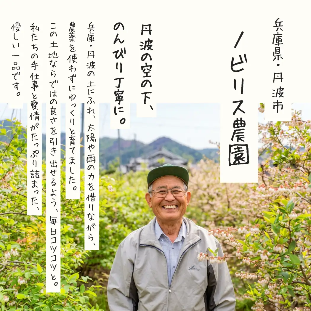 ブルーベリー 生果実 1kg 先行予約 生ブルーベリー 無農薬 丹波市産 7月下旬発送
