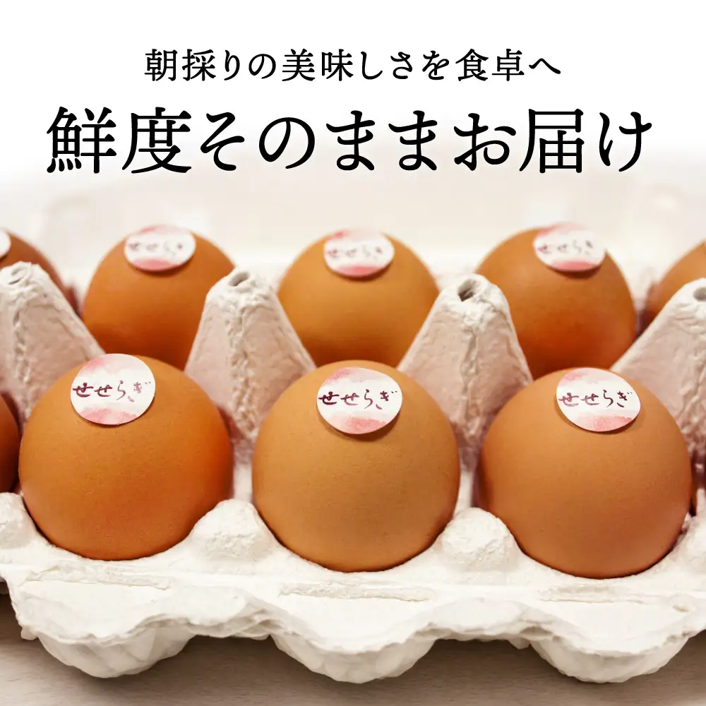 【3ヶ月定期便】せせらぎ卵 50個 〈丹波市産〉 鶏卵 定期便