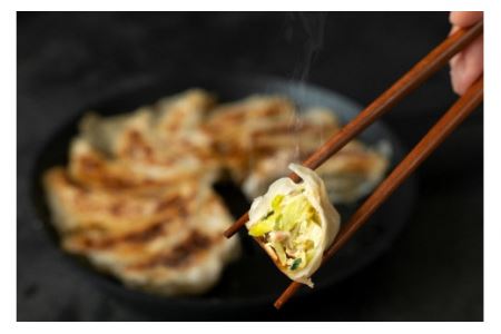 冷凍生餃子 135個 〈野菜たっぷり手作り〉〈丹波市産〉 餃子 加工食品