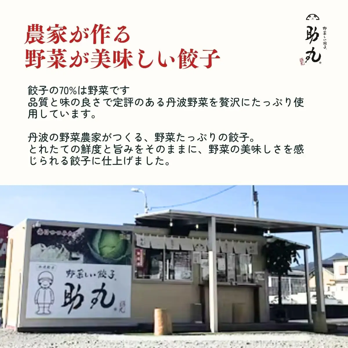 冷凍生餃子 111個 タレ・辣油付 〈丹波産野菜〉 餃子 大容量
