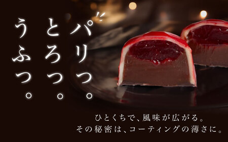 【2027年2月~発送】ボンボンショコラ 15個 バレンタインチョコレート ホワイトデーチョコレート ちょこちょこ [SAW033]