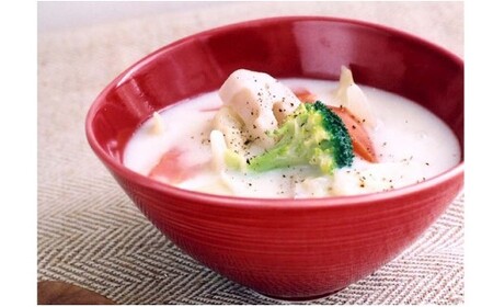 ARITA PORCELAIN LAB (アリタポーセリンラボ) 赤釉 なぶり鉢セット 有田焼 サラダボウル スープボウル モダン A55-164