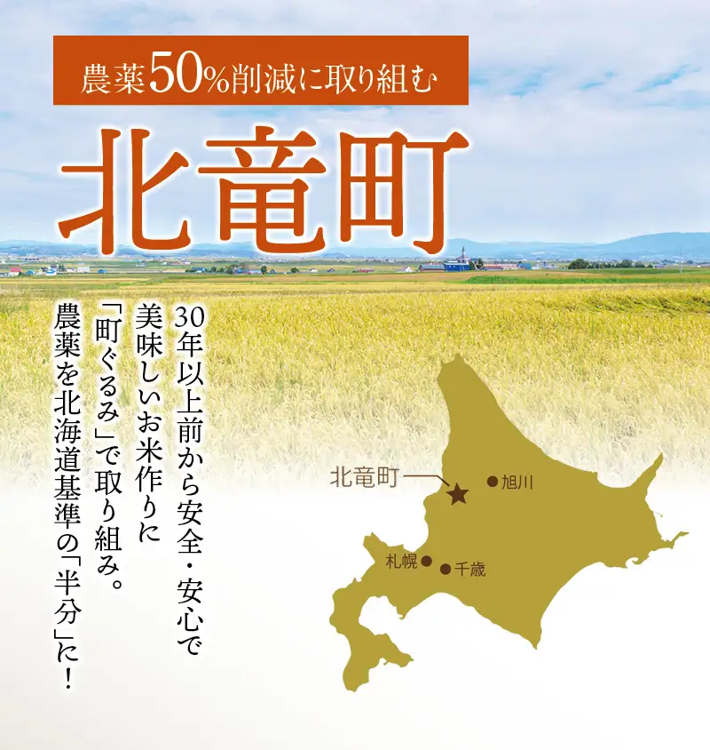 【令和7年産】 ななつぼし 4kg (4キロ) 【sun400-nana-r4-R7】