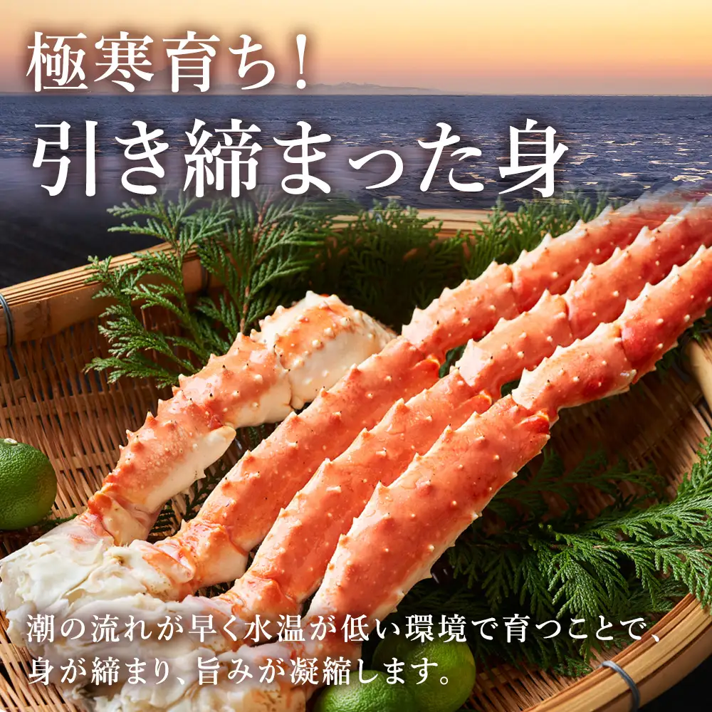 自社ボイル製造ボイルタラバガニ足 5L約1kg【配送不可地域：離島】