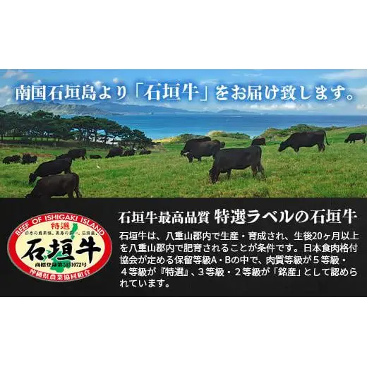 石垣牛・赤身系切り落とし どっさり山盛り1kg入り