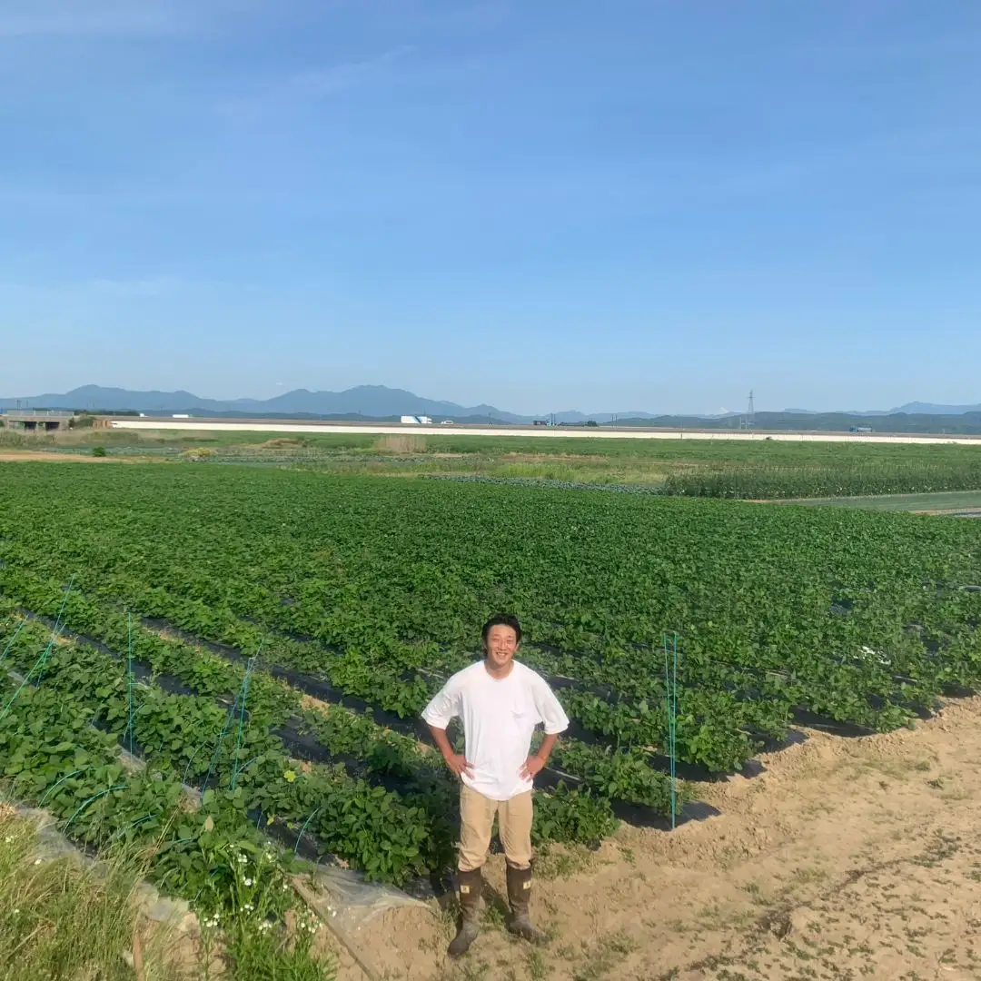 【先行予約】[枝豆 定期便 1kg×3回] 新潟県産 枝豆（陽恵） 朝採り枝豆 1kgを3回お届け [2025年発送分 ] 令和7年産 枝豆 [堀川農園] 【030S034】