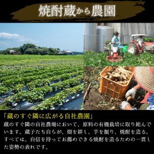 No.977 南国酒造 麦焼酎「麦破＆BAKU-HA PREMIUM GOLD」飲み比べ6本セット(各900m・合計6本) 鹿児島 九州 酒 麦 焼酎 むぎ焼酎 地酒 アルコール 飲み比べ セット