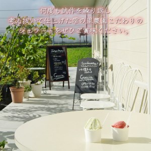 いちごジェラート 6個入 いちご