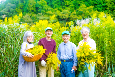 SANBE Botanicals〈セイタカアワダチソウ〉百済浦の藻塩バスソルト4個セット【バスソルト 4個 詰め合わせ セット バス用品 お風呂 ギフト プチギフト 個包装 母の日】