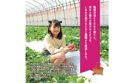紅白いちご2品種食べ比べセット 400g　いちご