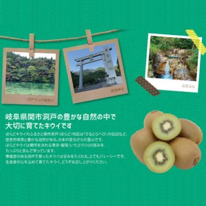 ほらどキウイフルーツとほらタレ・ほらドレ〈JAめぐみの×岐阜県立関高等学校×ばかたれ福ちゃん コラボ限定品〉【1月～3月に順次発送】