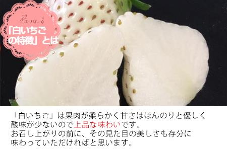 『先行予約』【令和9年2月上旬から4月下旬までにお届け】白い宝石 白いちご 約130g×4P(合計約520g) ご自宅用 いちご イチゴ 苺 贈答 フルーツ 果物 希少