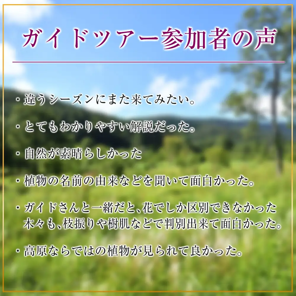 国定公園を専属ガイドと巡る『八幡湿原』トレッキング体験プラン GE014_001