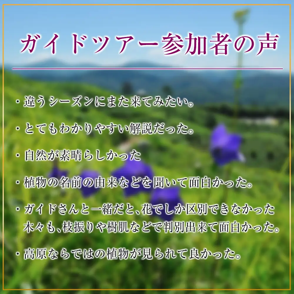 国定公園を見渡す『雲月山』専属ガイドと巡るトレッキング体験プラン GE014_002