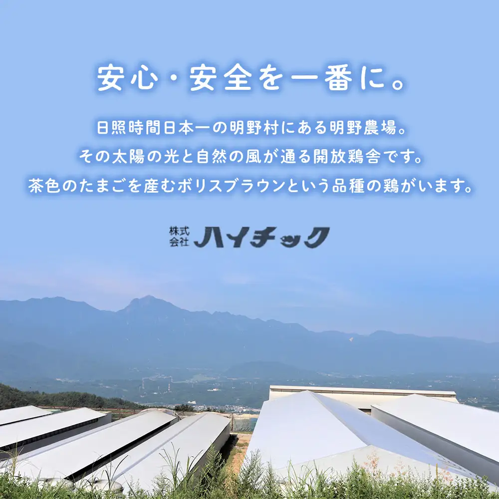 ワインたまご 20個入り 卵  AI-1
