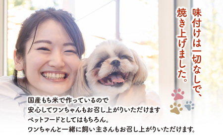 【みずほ製菓】わんこのおやつ詰め合わせ | わんこ