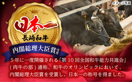 【全6回定期便】 リブロース サーロイン 500g 希少部位 長崎和牛 A4?A5ランク【肉のふじた】 [AG12] リブロース サーロイン 肉 牛肉 しゃぶしゃぶ すき焼き 定期便