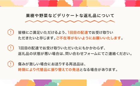 【先行予約】サンふじ 約3kg 特秀品 令和8年産 mm-risft3