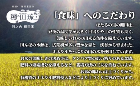 〈坂本自然農場 穂田琉〉 JINEN:ひのひかり 精米2kg お米 白米 ライス ご飯 ブランド米 銘柄米 お弁当 おにぎり 産地直送 主食 炭水化物 朝食 昼食 夕飯 和食 弾力 風味 旨み 