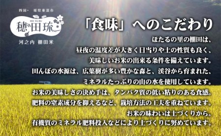〈坂本自然農場 穂田琉〉 JINEN:ひのひかり 精米5kg お米 白米 ライス ご飯 ブランド米 銘柄米 お弁当 おにぎり 産地直送 主食 炭水化物 朝食 昼食 夕飯 和食 弾力 風味 旨み 