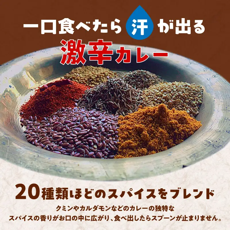 日本上陸【おうちで本格ベトナム料理】サッチャムチキンカレー（3食セット）_B020-008