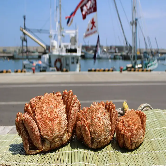特大!毛がに（冷凍）北海道雄武町産(800g前後×1)【1240401】